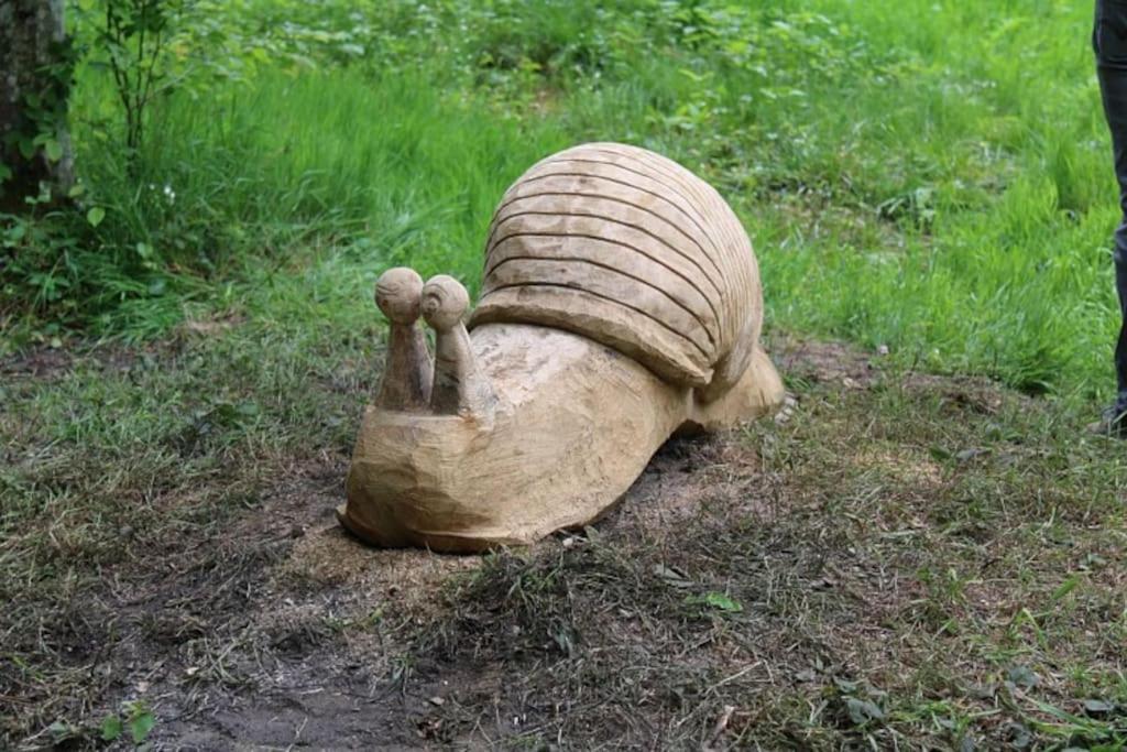 Le Repaire Des Renards Vallee De Rabais Hébergement de vacances *